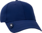 BALLMARKER HAT